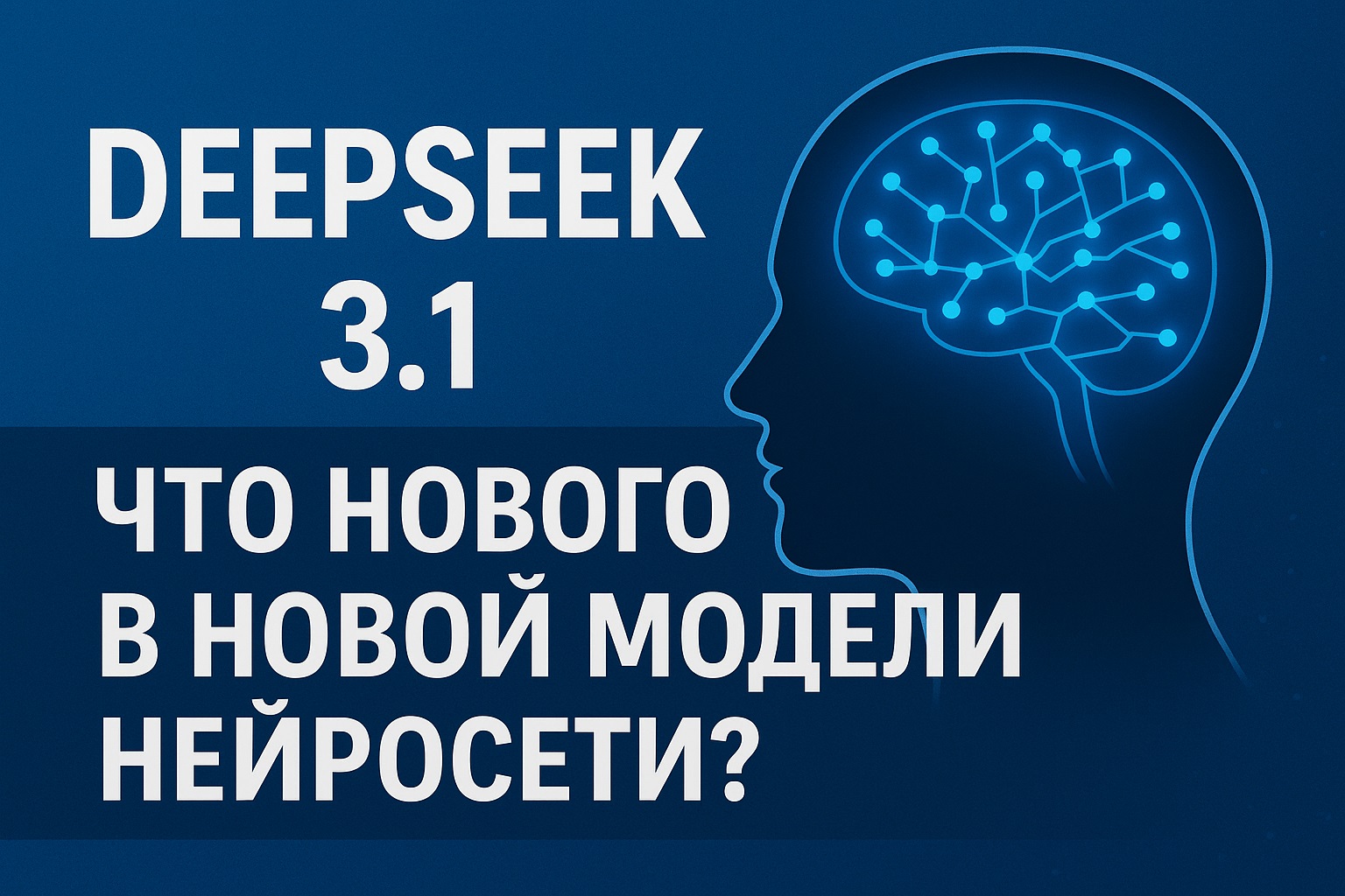 DeepSeek 3.1